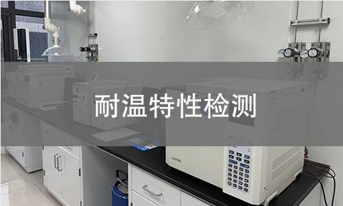 耐温特性检测