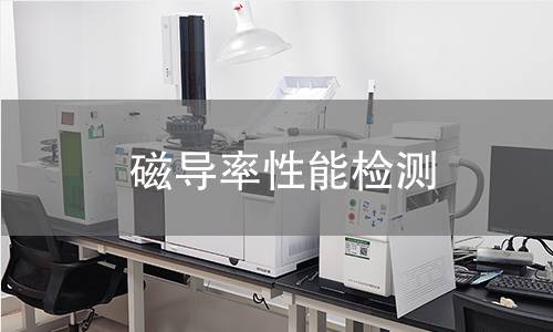 磁导率性能检测