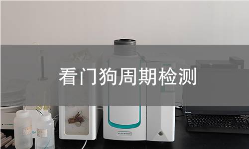 看门狗周期检测