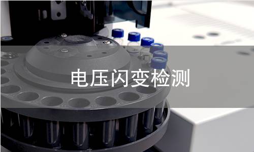电压闪变检测
