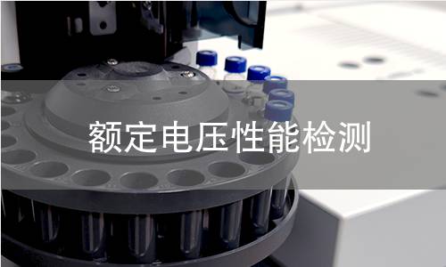 额定电压性能检测