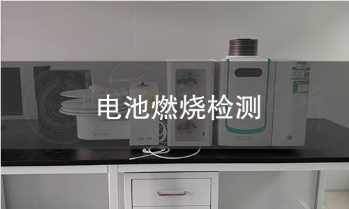 电池燃烧检测