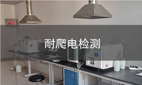 耐爬电检测