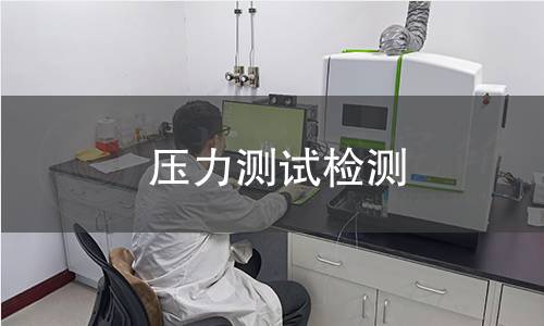 压力测试检测