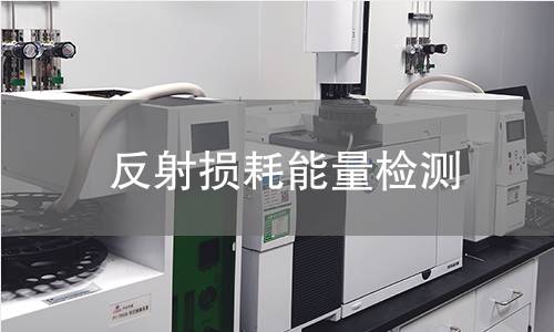 反射损耗能量检测