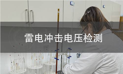 雷电冲击电压检测
