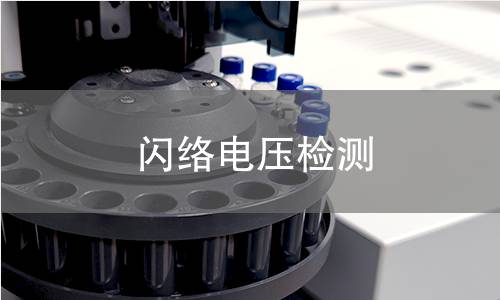 闪络电压检测