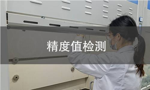 精度值检测