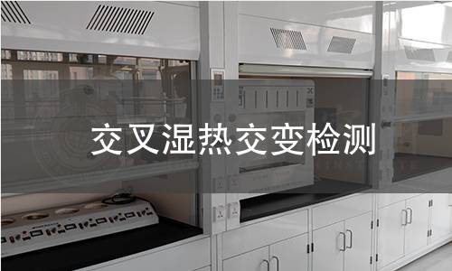 交叉湿热交变检测