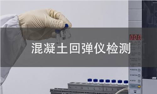 混凝土回弹仪检测