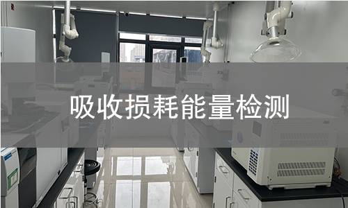 吸收损耗能量检测