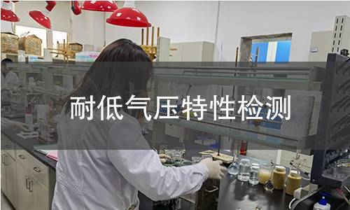 耐低气压特性检测