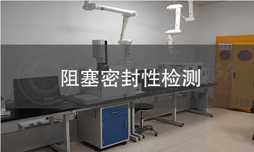 阻塞密封性检测