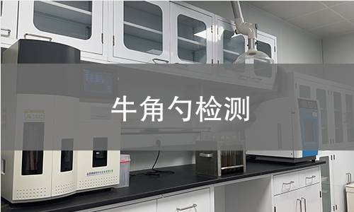 牛角勺检测