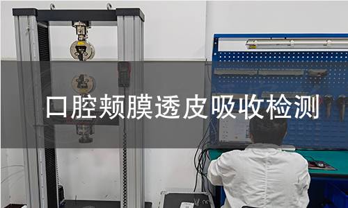 口腔颊膜透皮吸收检测
