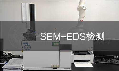 SEM-EDS检测
