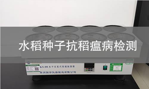 水稻种子抗稻瘟病检测
