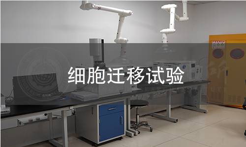 细胞迁移试验