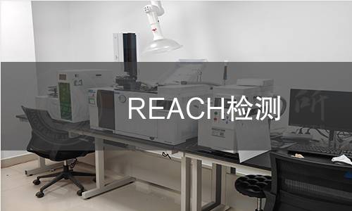 REACH检测