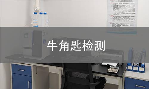 牛角匙检测