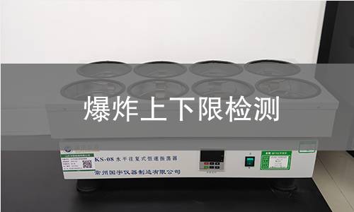 爆炸上下限检测