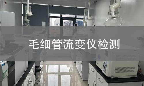 毛细管流变仪检测