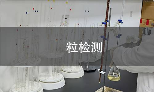 铇粒检测