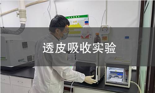 透皮吸收实验