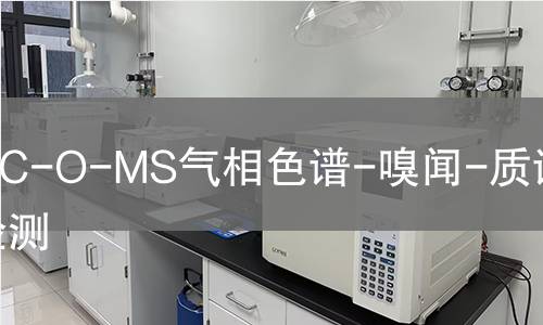 GC-O-MS气相色谱-嗅闻-质谱联用检测