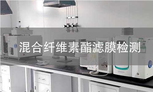 混合纤维素酯滤膜检测