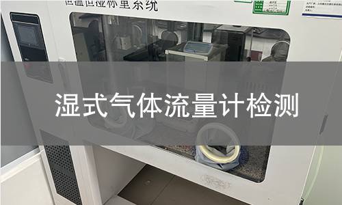 湿式气体流量计检测