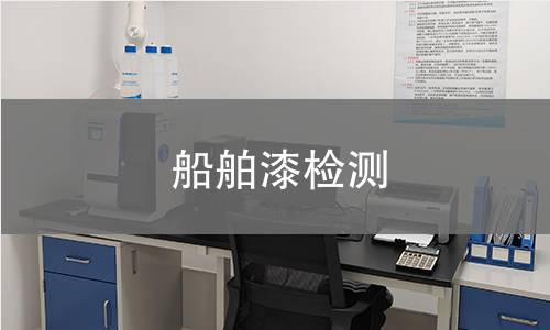 船舶漆检测