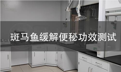 斑马鱼缓解便秘功效测试