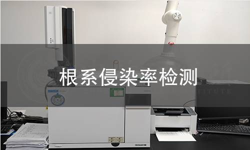 根系侵染率检测