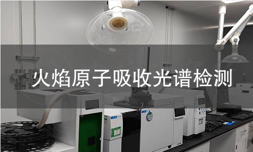 火焰原子吸收光谱检测