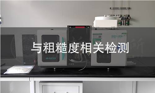 与粗糙度相关检测