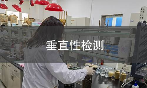 垂直性检测