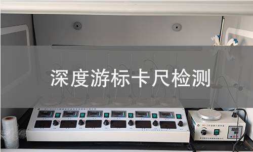 深度游标卡尺检测
