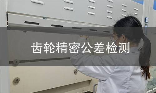 齿轮精密公差检测