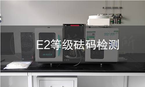 E2等级砝码检测