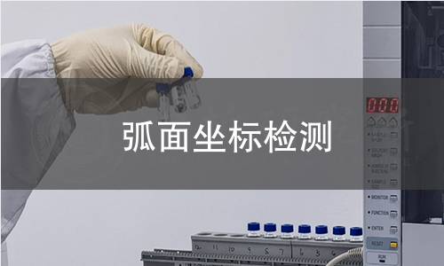弧面坐标检测