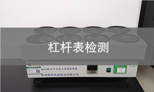 杠杆表检测