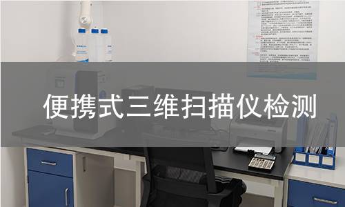 便携式三维扫描仪检测