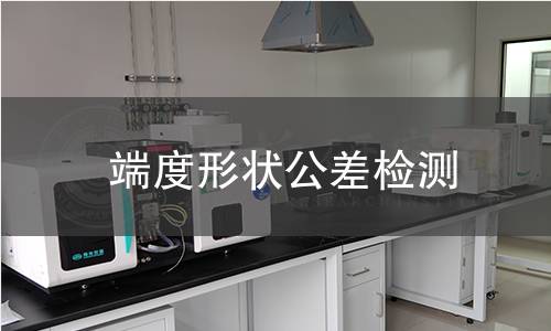 端度形状公差检测