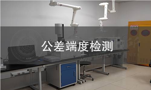 公差端度检测