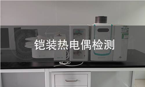 铠装热电偶检测