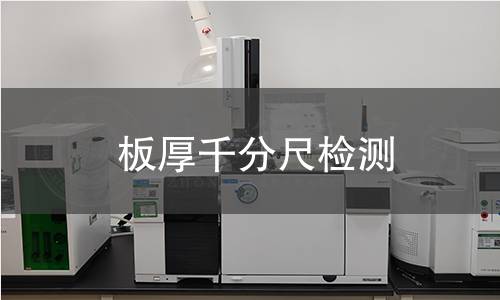 板厚千分尺检测