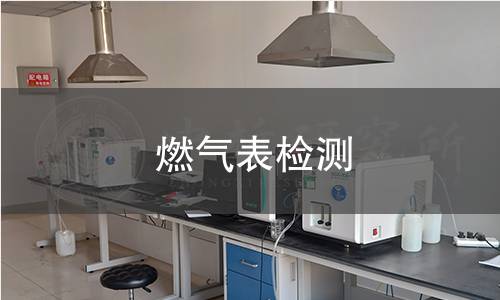 燃气表检测