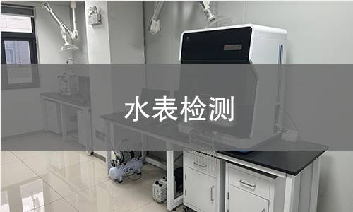 水表检测