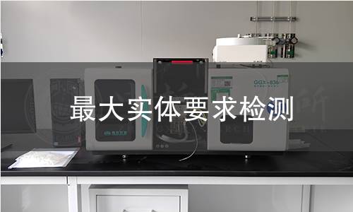 最大实体要求检测